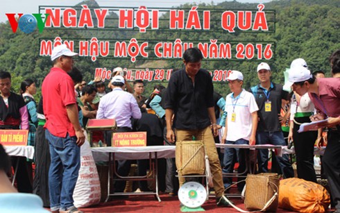 Third annual plum festival in Son La province - ảnh 1